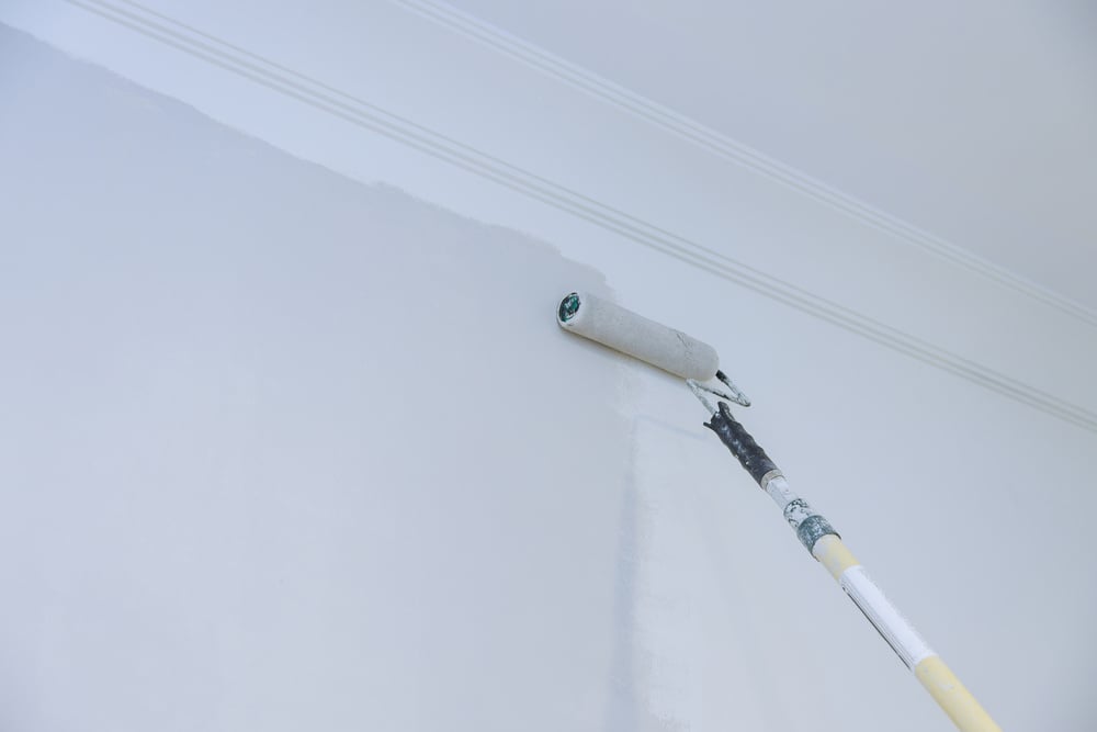 Worker Painting Wall with Paint Roller
